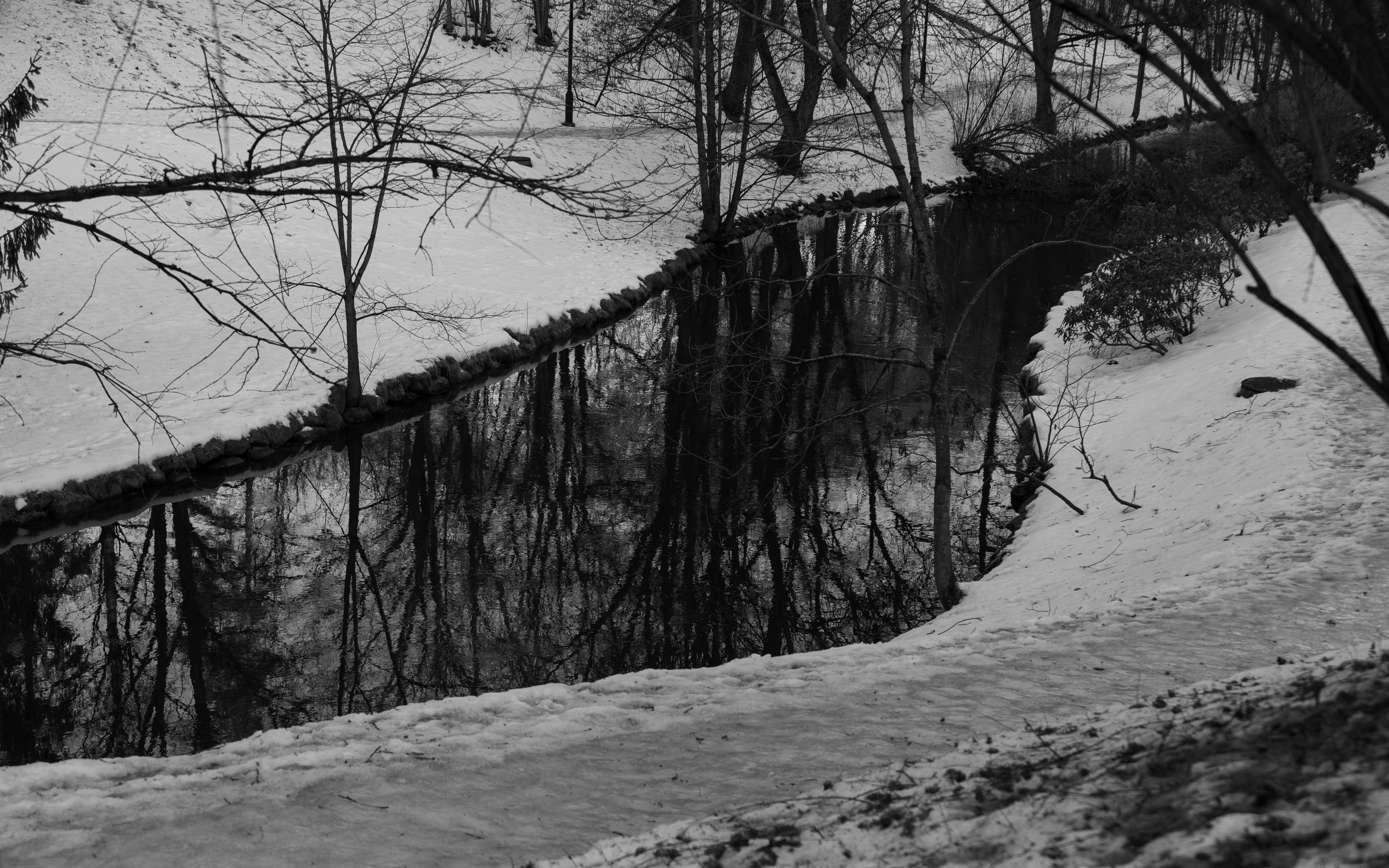 Photo by eddyyyyyyyyyy