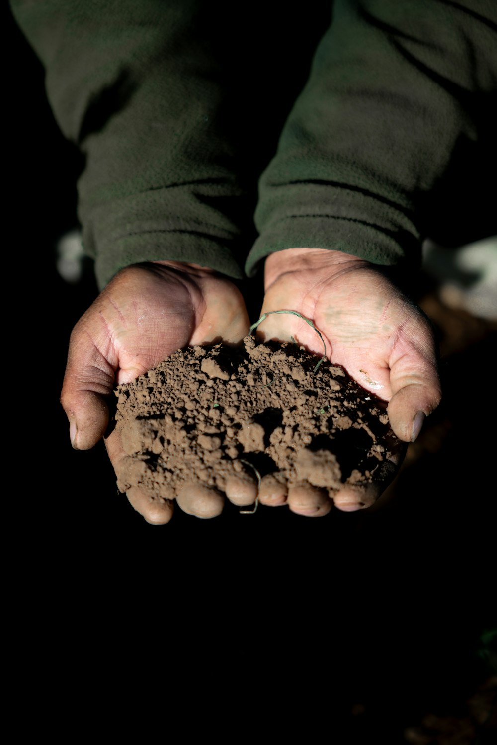 a person holding dirt in their hands