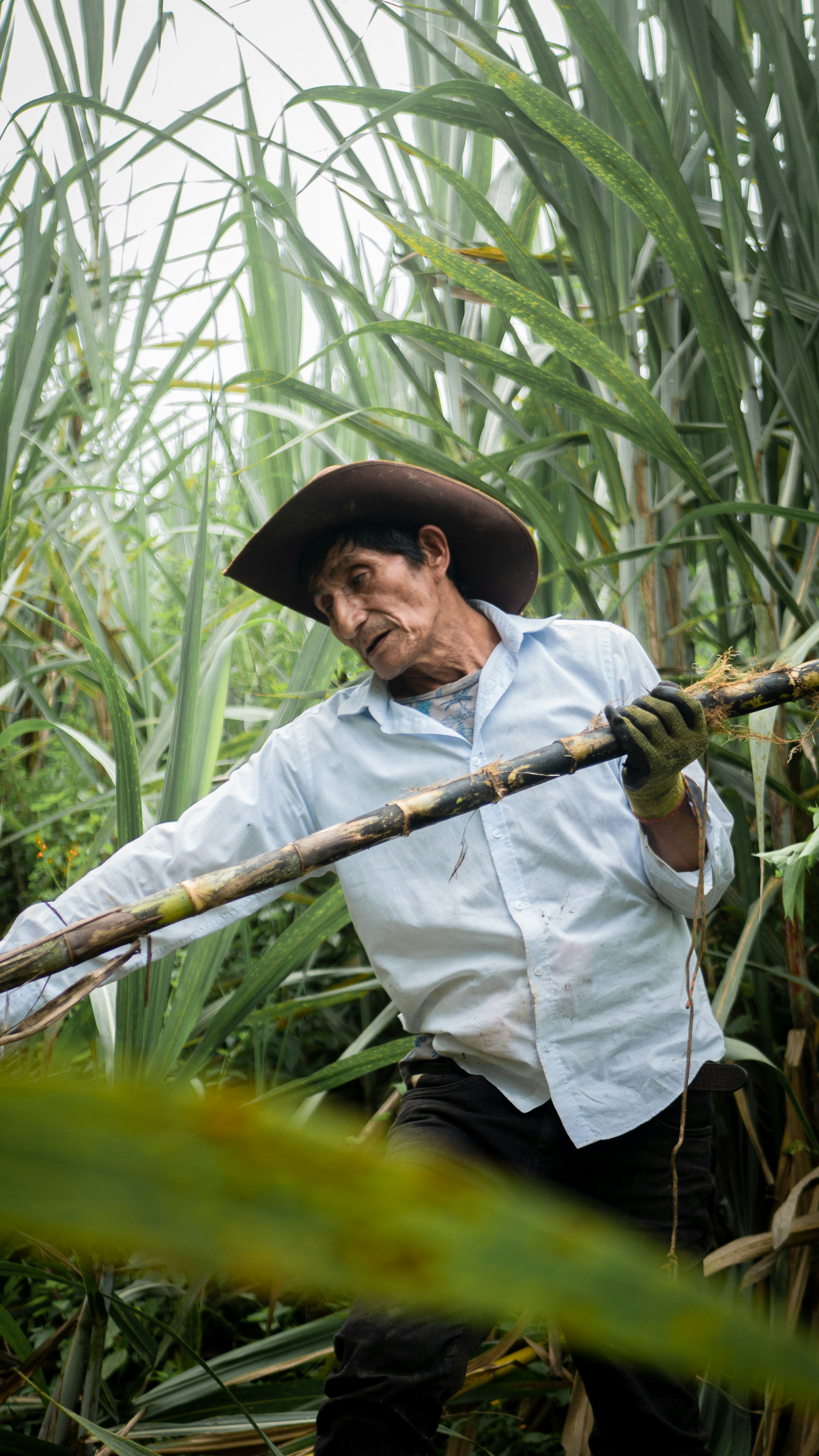 Photo by victorduenas