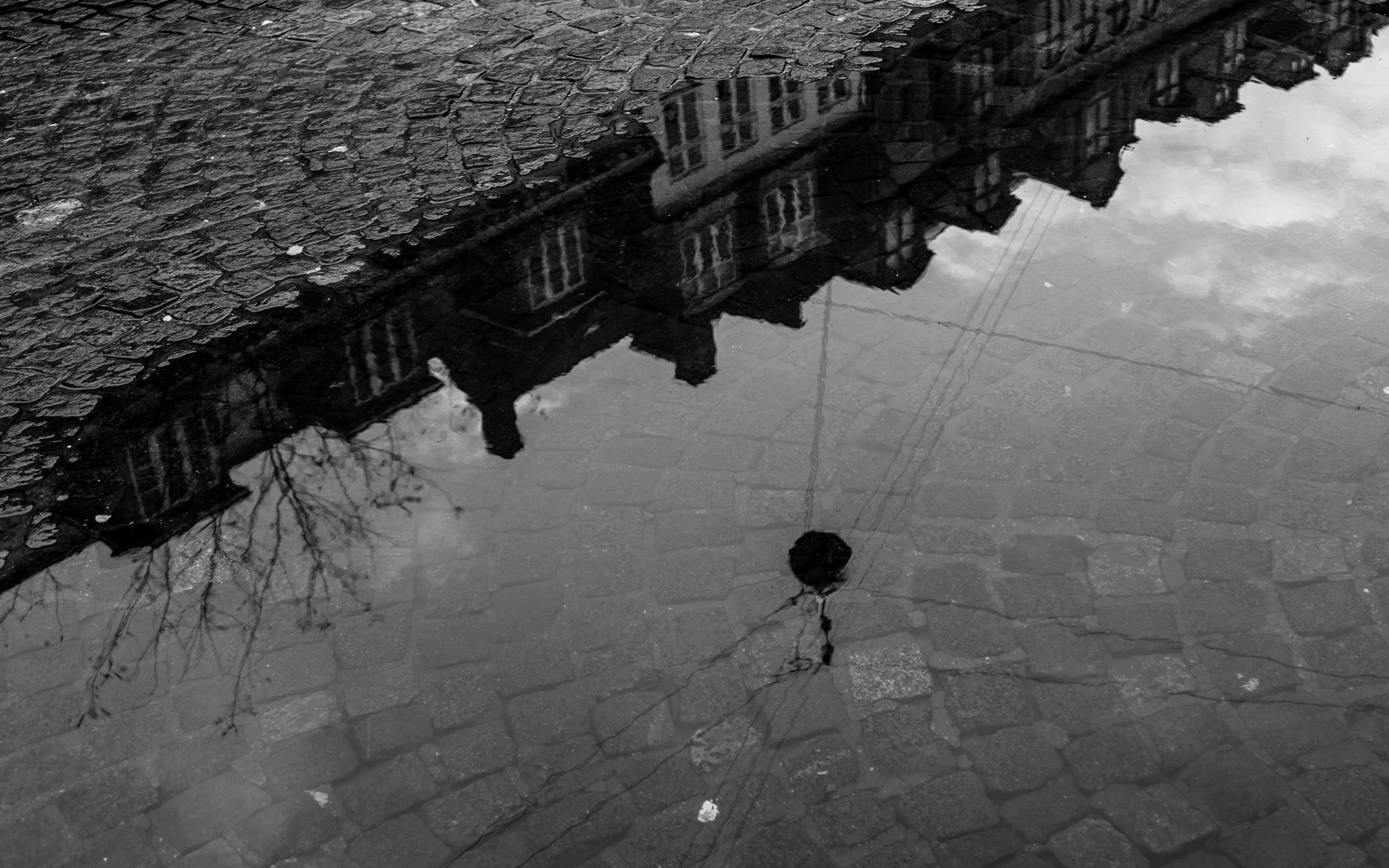 Photo by eddyyyyyyyyyy