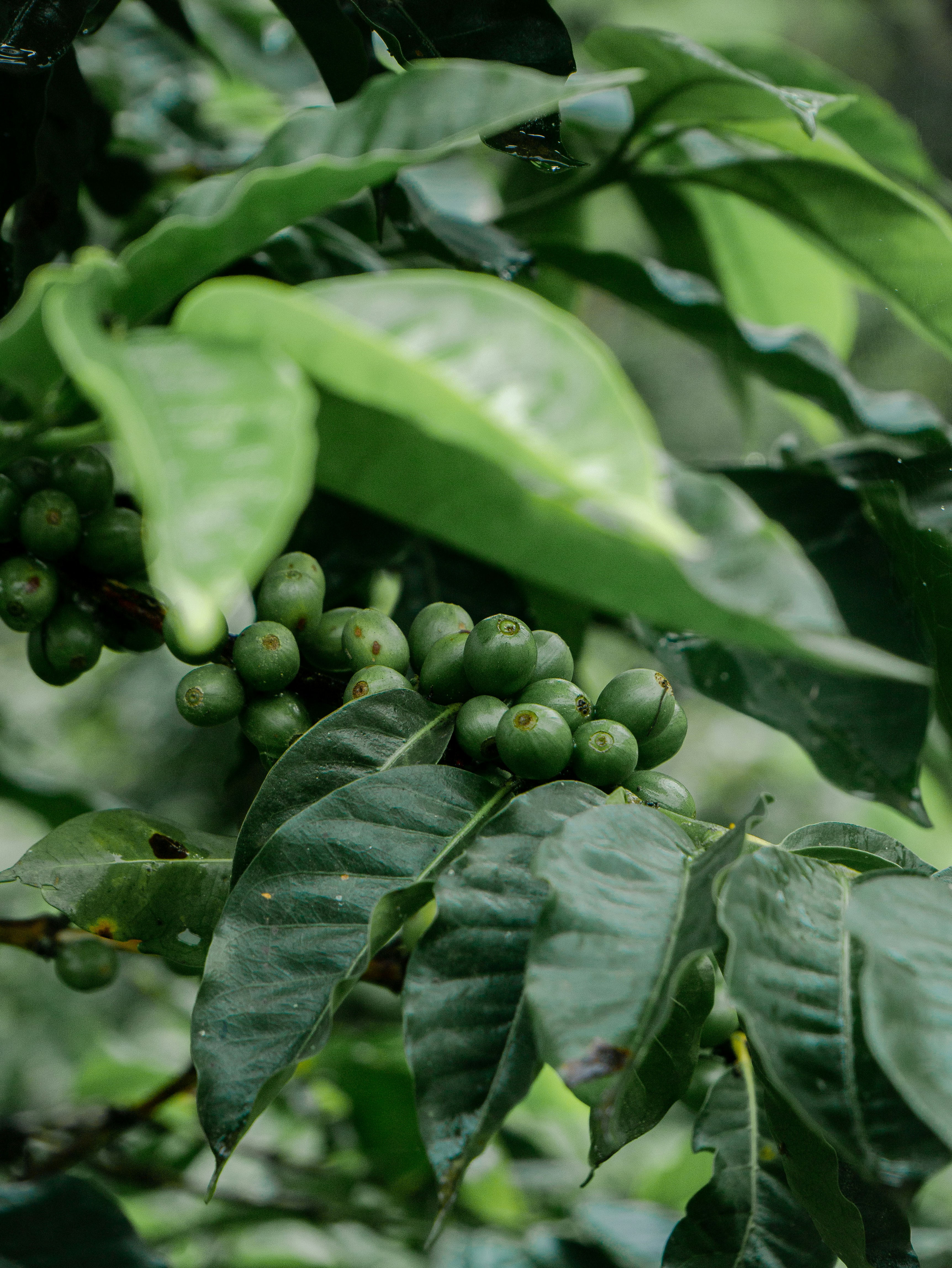 Photo by victorduenas