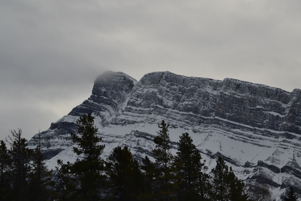 a snow covered mountain with trees in the foreground