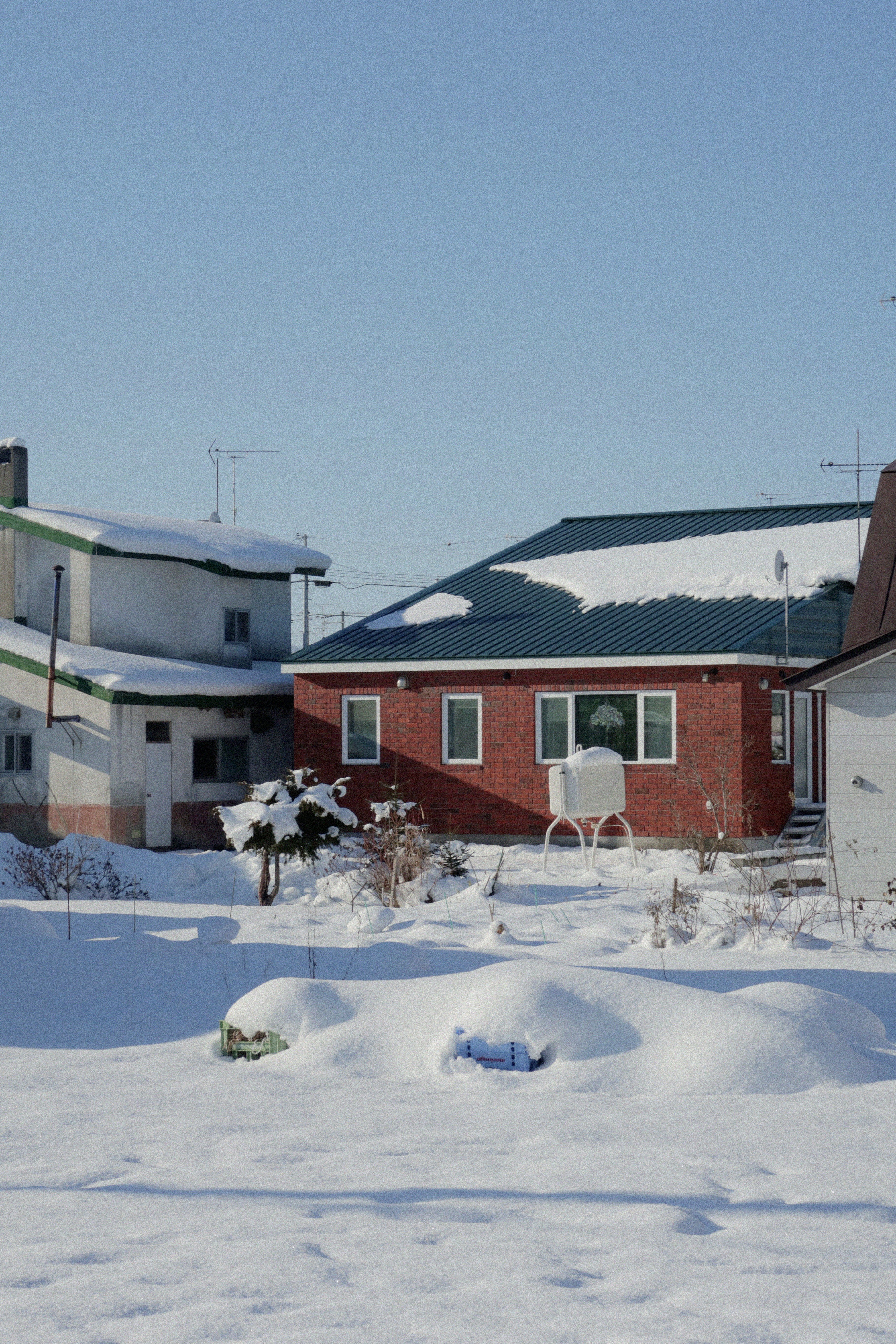 Photo by puhihihi1018