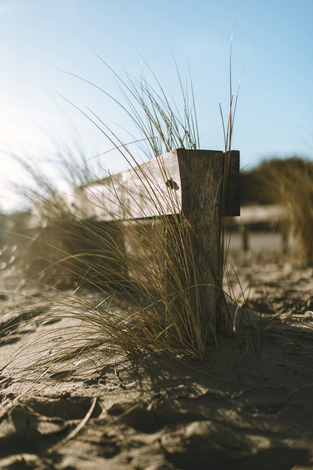 a wooden cross sitting in the sand on a beach