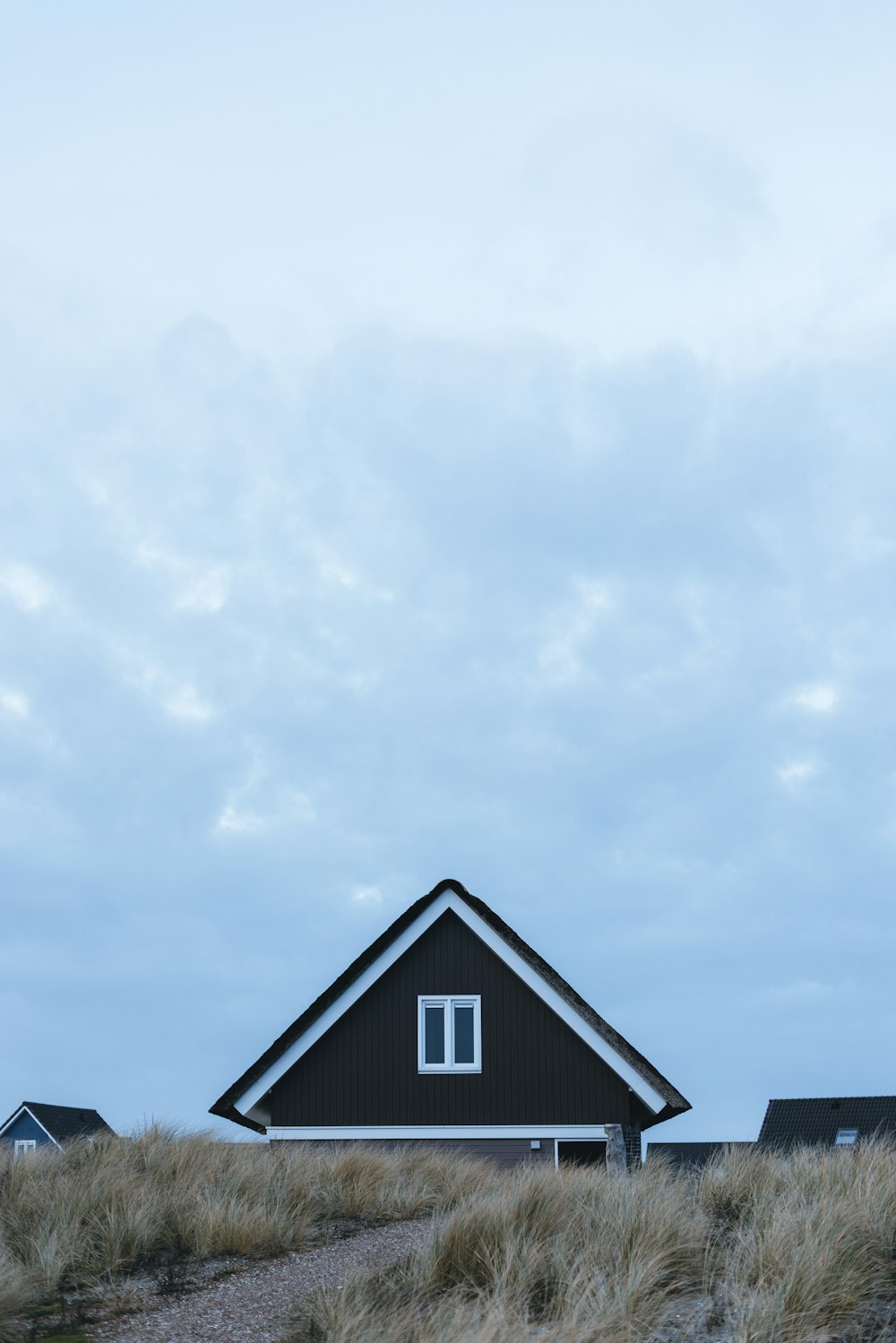 a black and white house on a hill