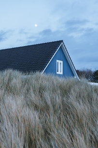 A blue house with a steep, black-tiled roof partially obscured by tall, pale grasses. The sky appears overcast with a visible moon, adding a serene and calm atmosphere.