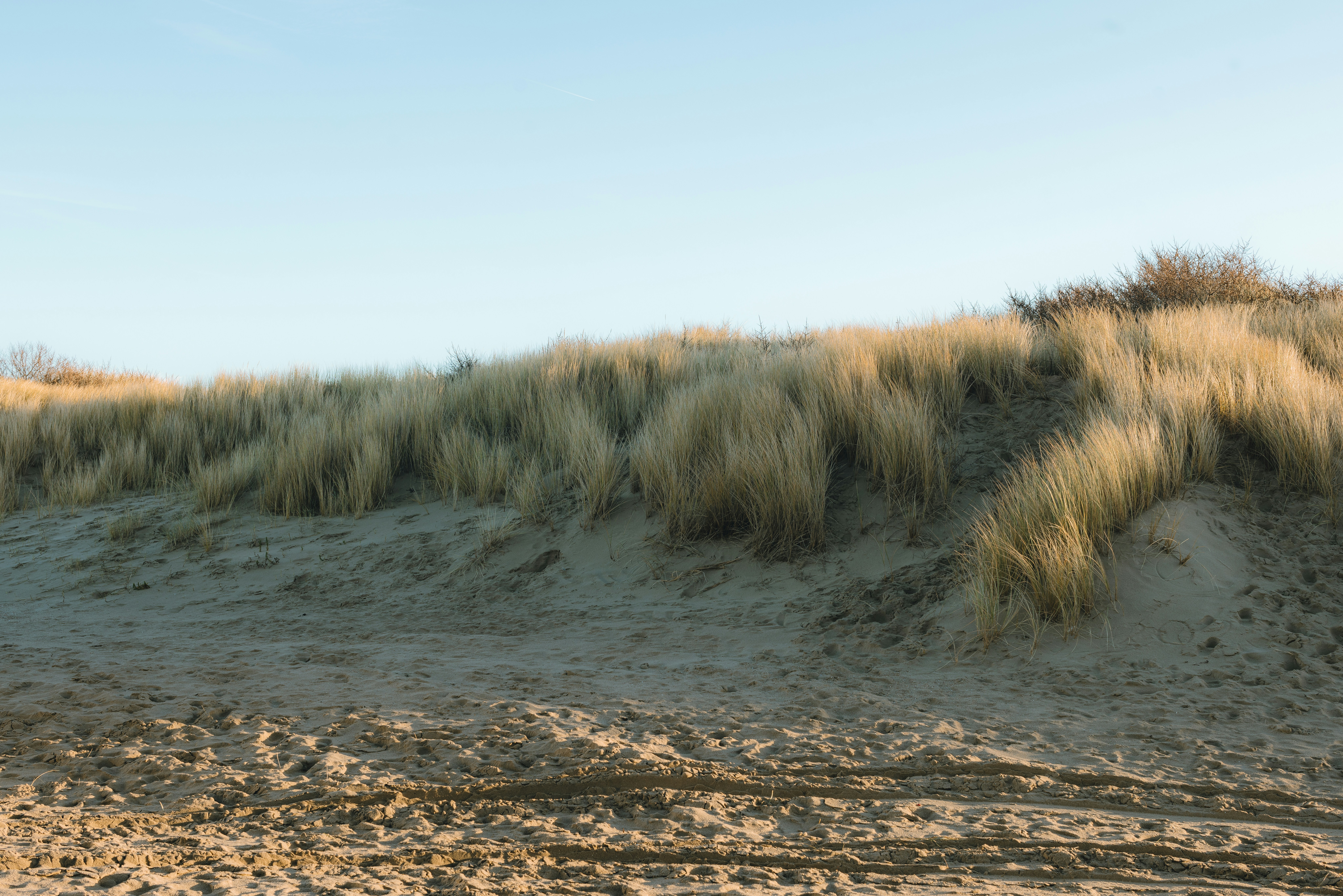 Nederlandse duinen als inspiratie voor duurzame keuzes