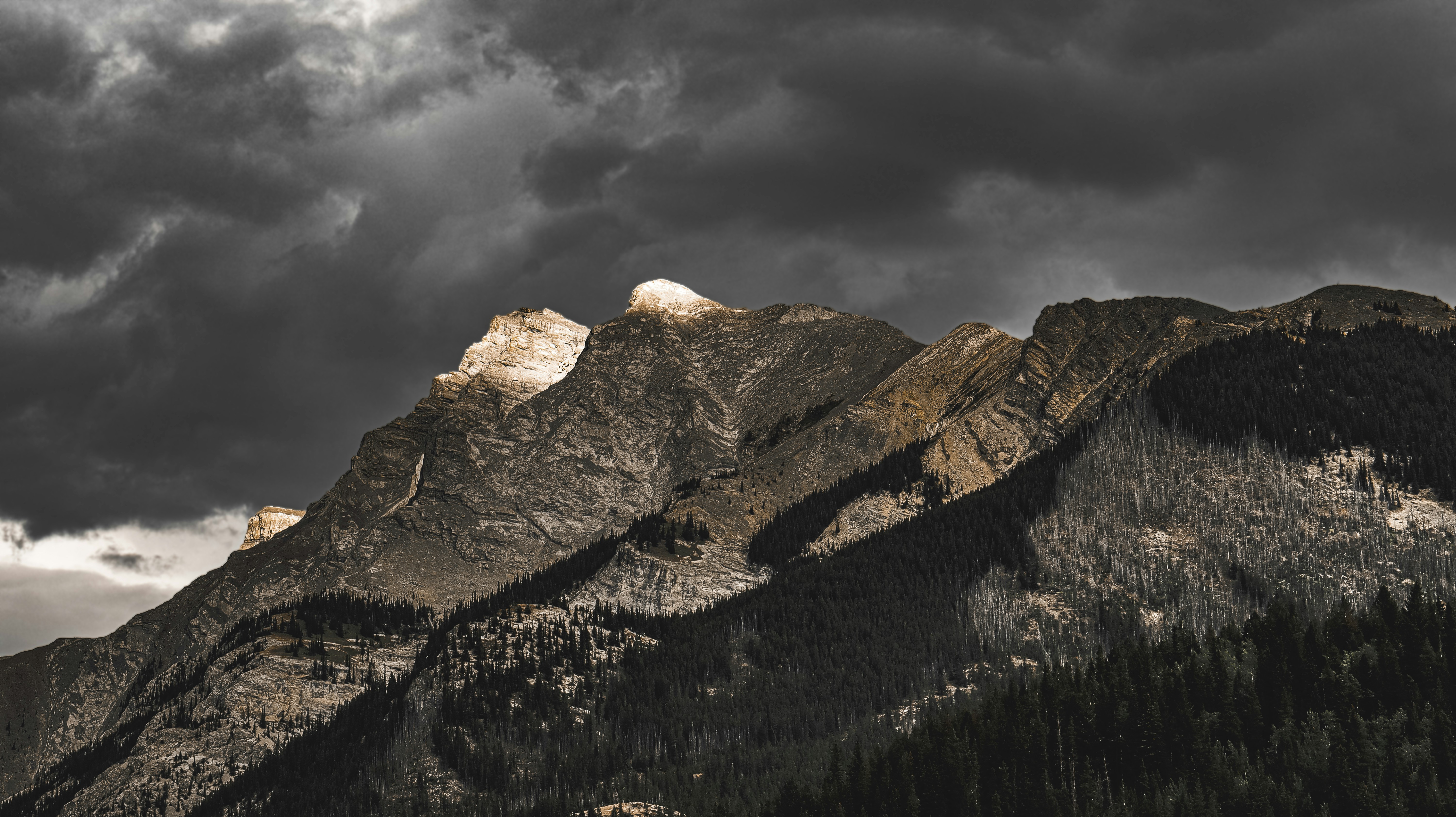 Photo by cheesycheesecake