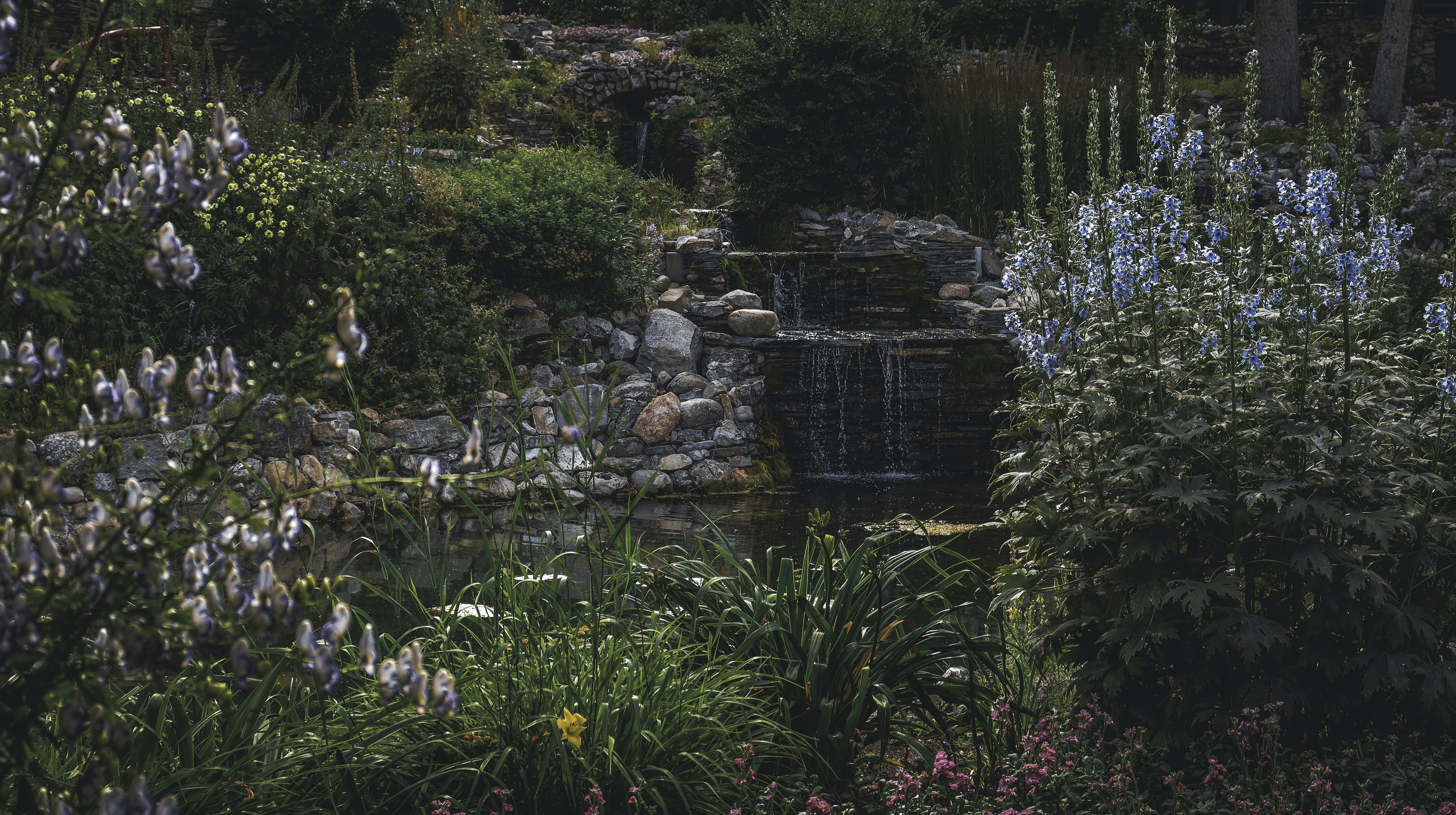 Photo by cheesycheesecake