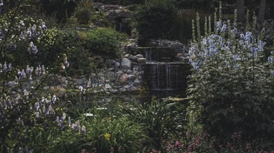 A neat backyard landscape featuring a mix of shrubs, flowering plants, and a small water feature.