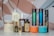 An assortment of colorful shampoo bottles arranged on a bathroom shelf with plants in the background.