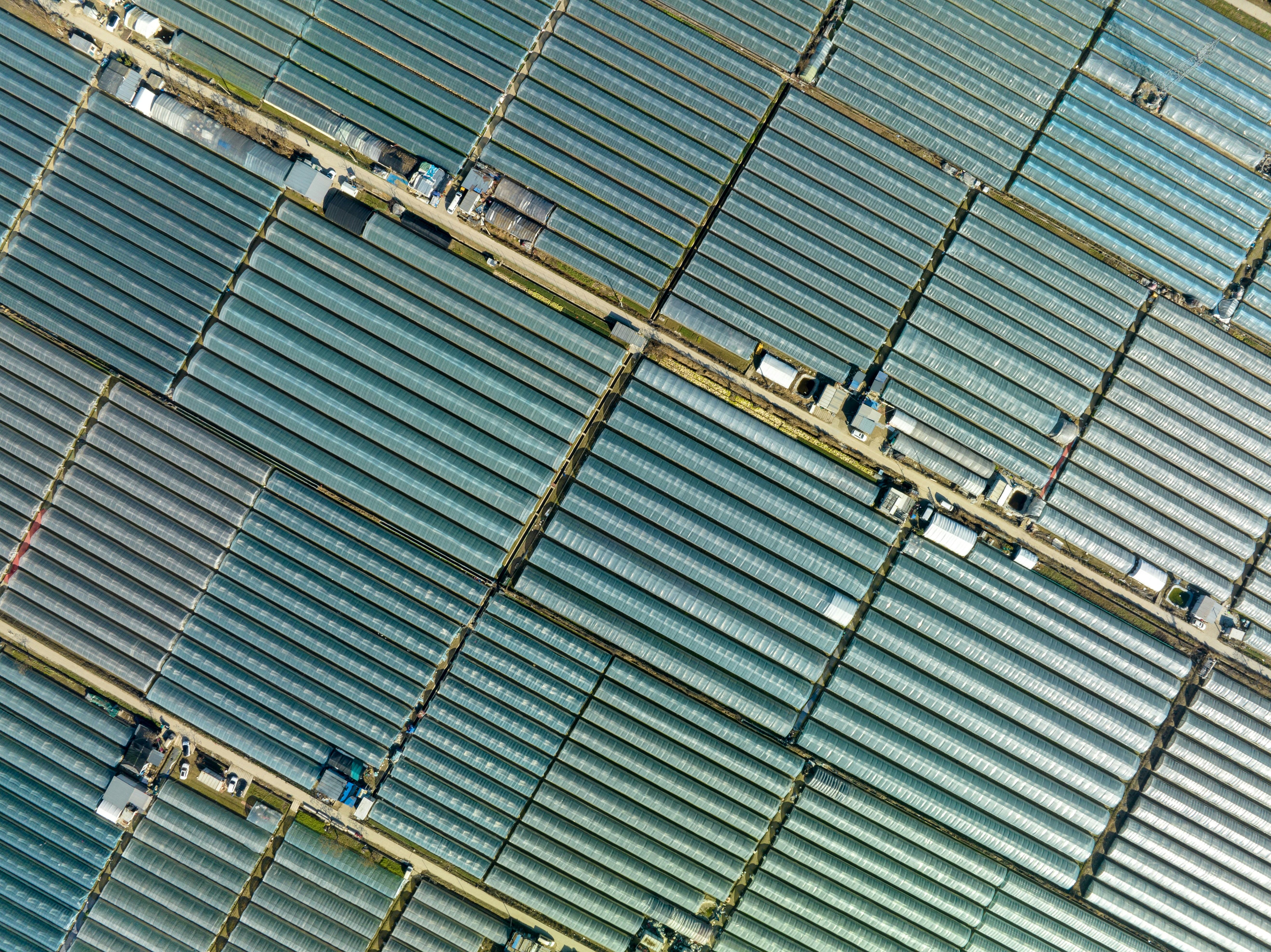 cleantech related image for: Sigenergy Solar-Storage Powers Aquaculture Sustainability