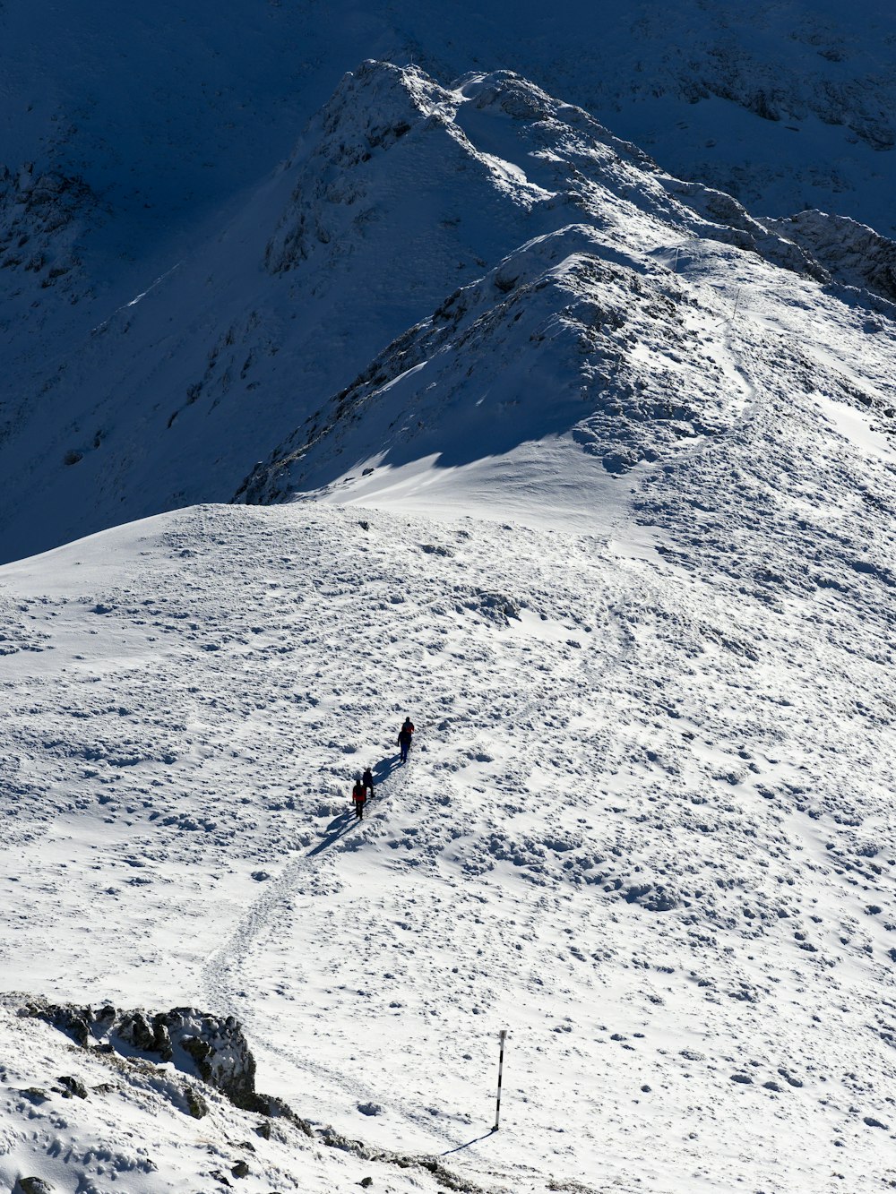 Un gruppo di persone che camminano sul fianco di una montagna coperta di neve