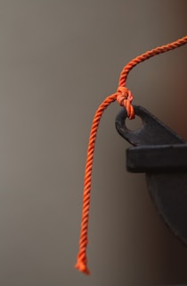 Close-up of durable pet leashes hanging against a bright background.