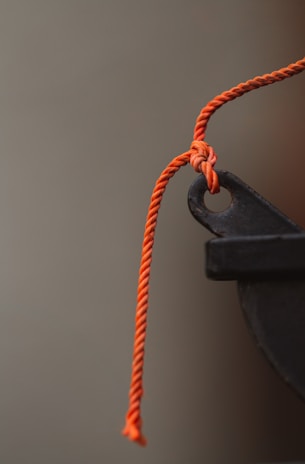 Close-up of durable pet leashes hanging against a bright background.