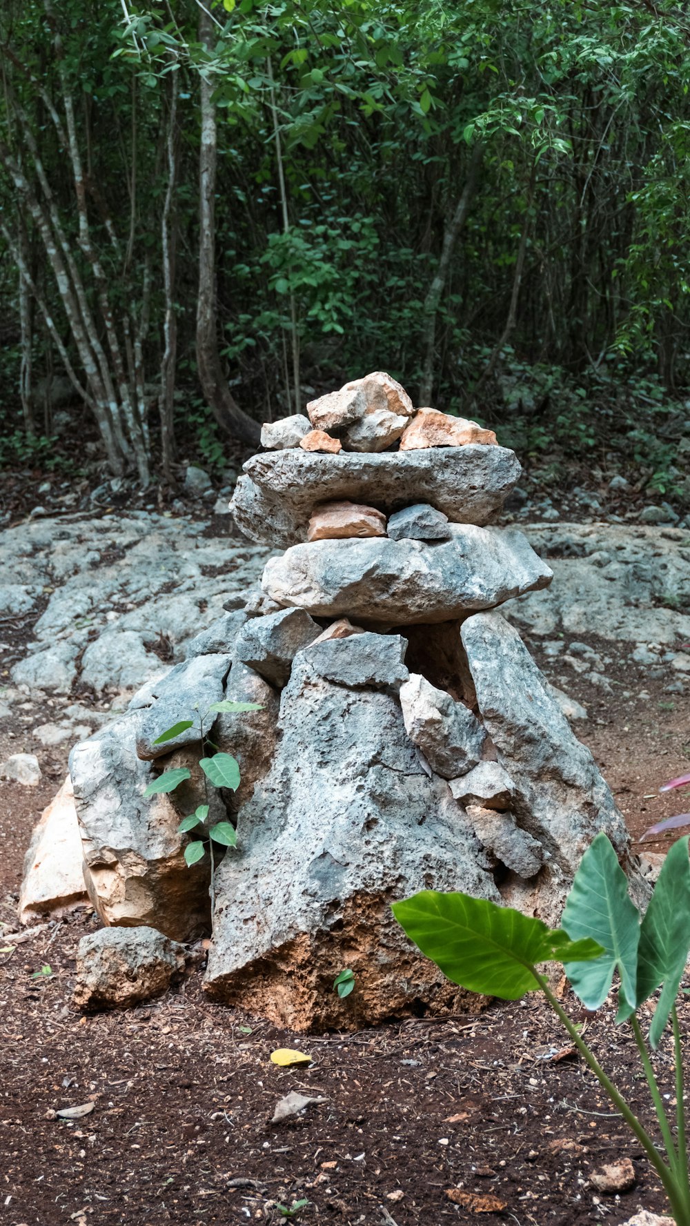 a pile of rocks sitting in the middle of a forest