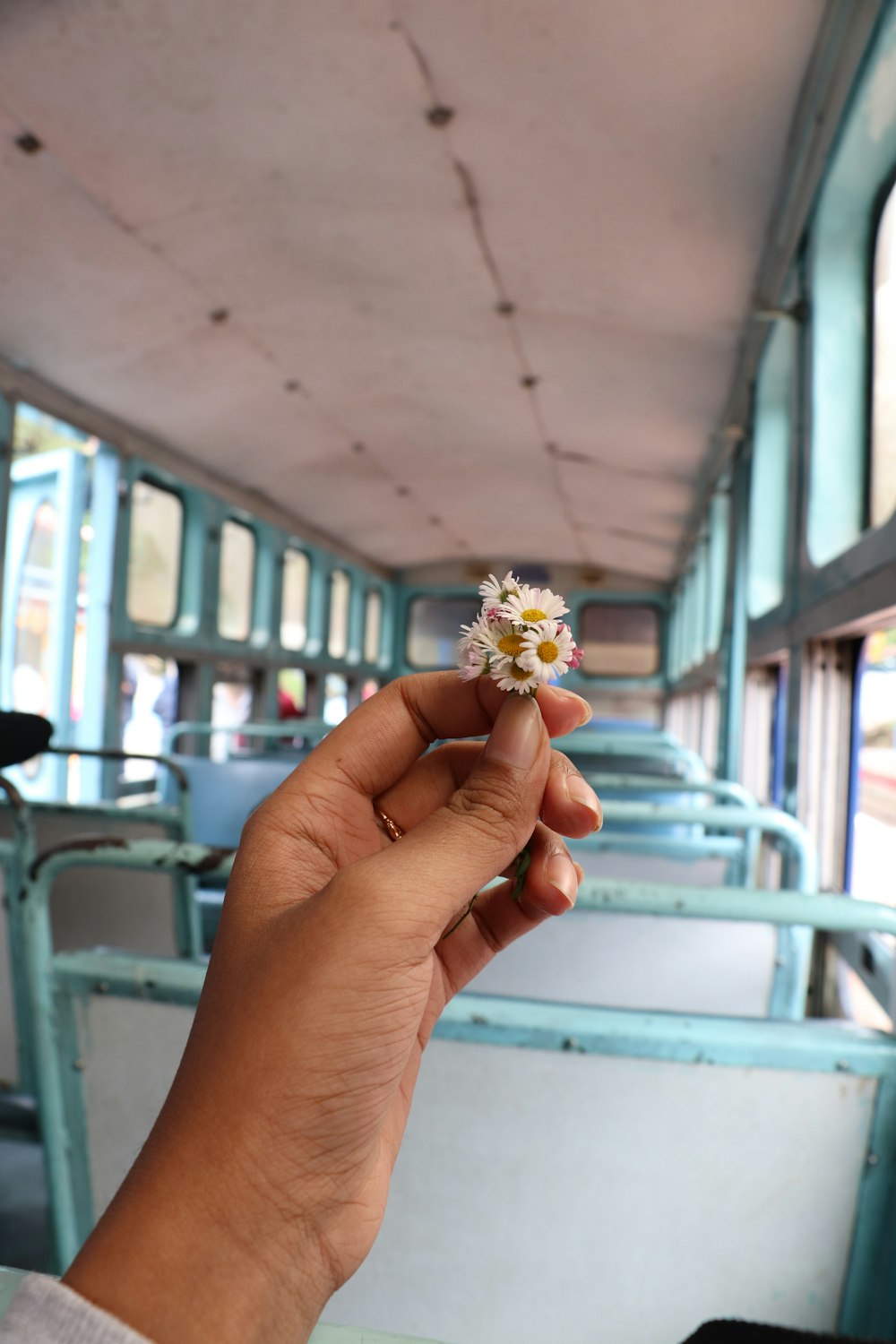 a person holding a small flower in their hand