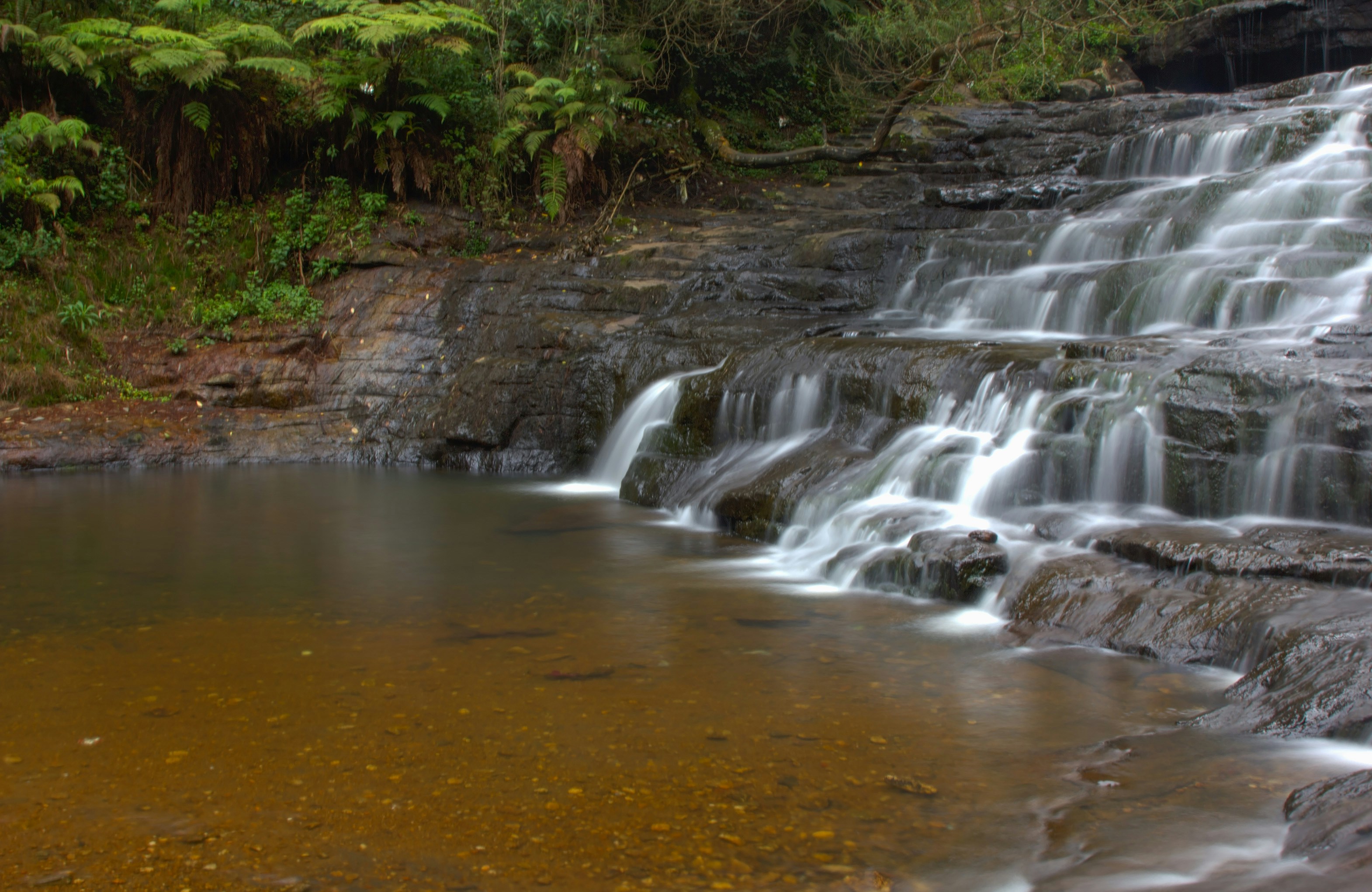 Photo by manoharreddy