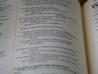 An image depicting a book editing process.