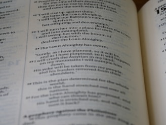 An image depicting the editing process in publishing.