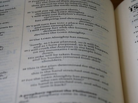 An image depicting the process of book editing.