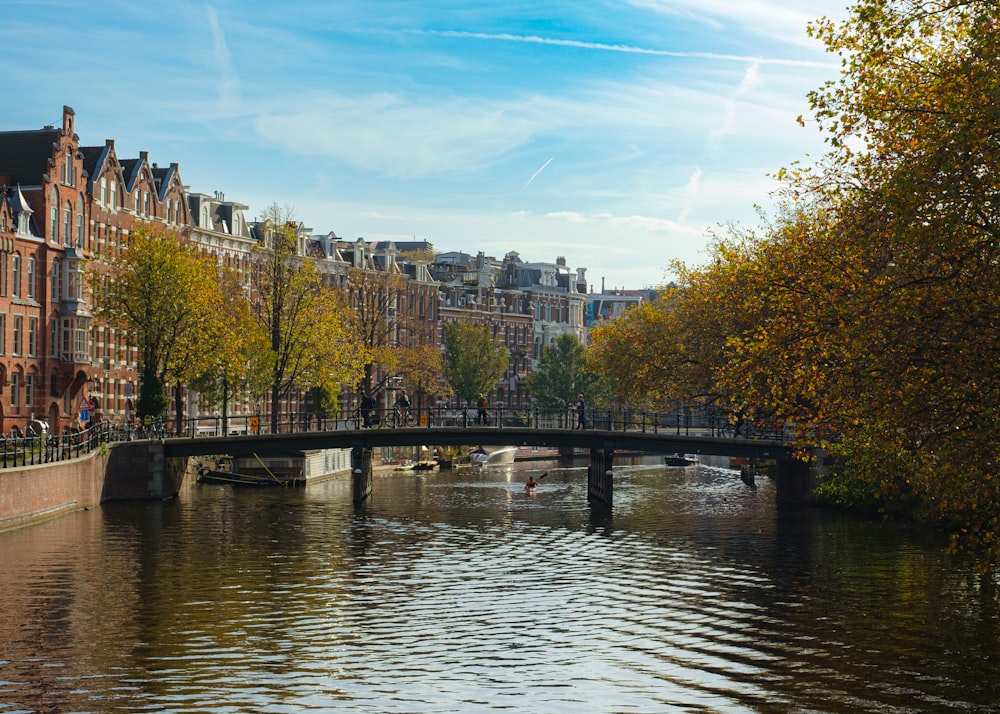 a bridge over a body of water in a city