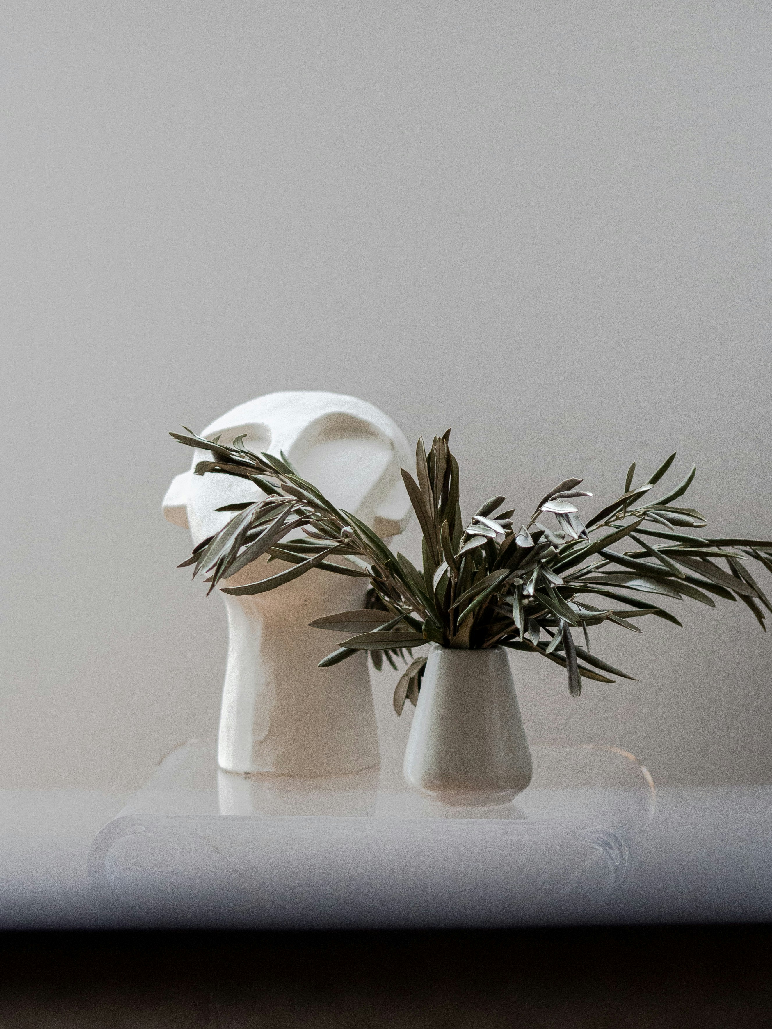 Photo by anna_c_wilhelm