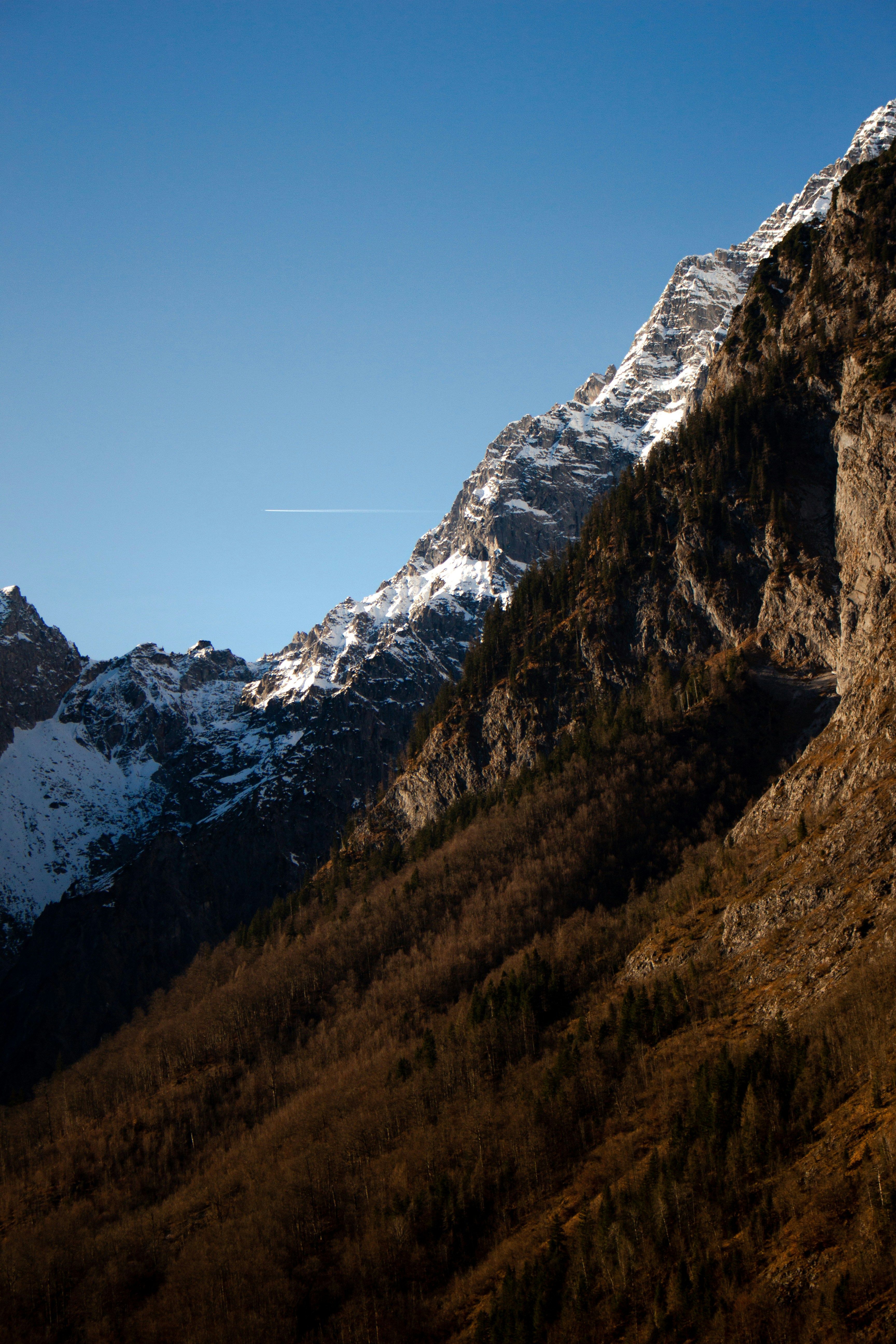 Photo by anna_c_wilhelm