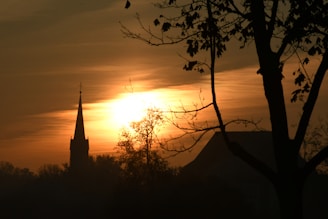 Sunset behind a white church steeple framed by tall trees.