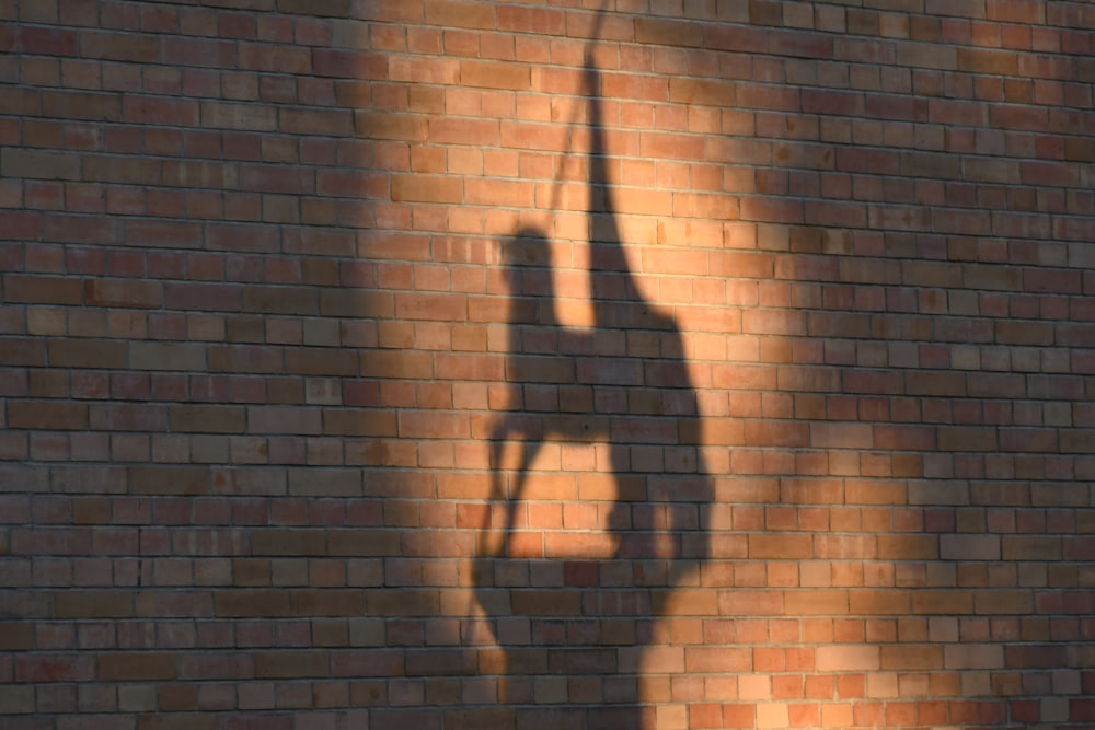 a shadow of a giraffe on a brick wall