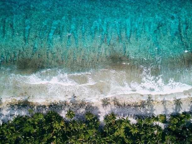 A breathtaking view of a tropical beach with crystal-clear waters and palm trees swaying in the breeze.