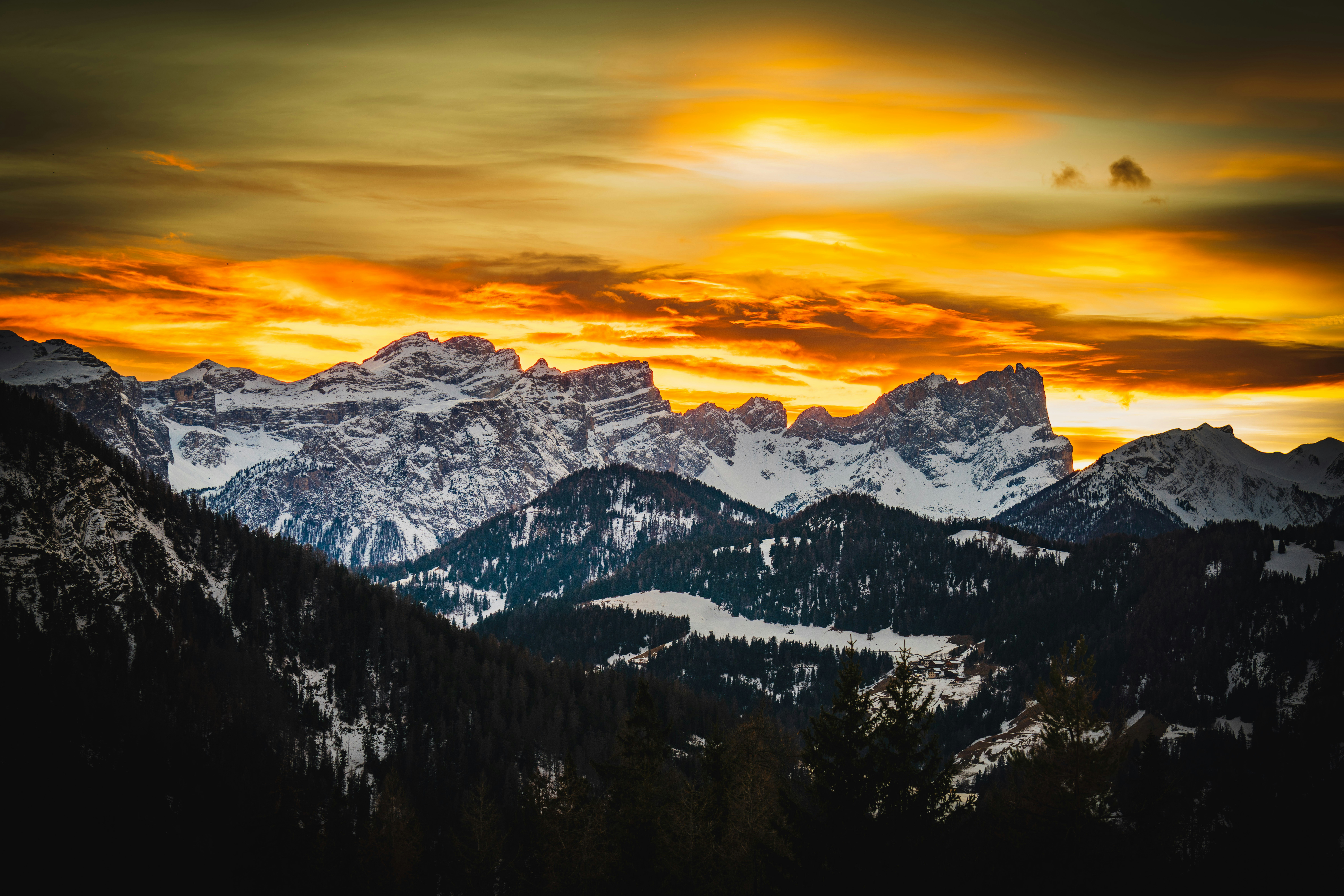 Photo by dmaxsilencer