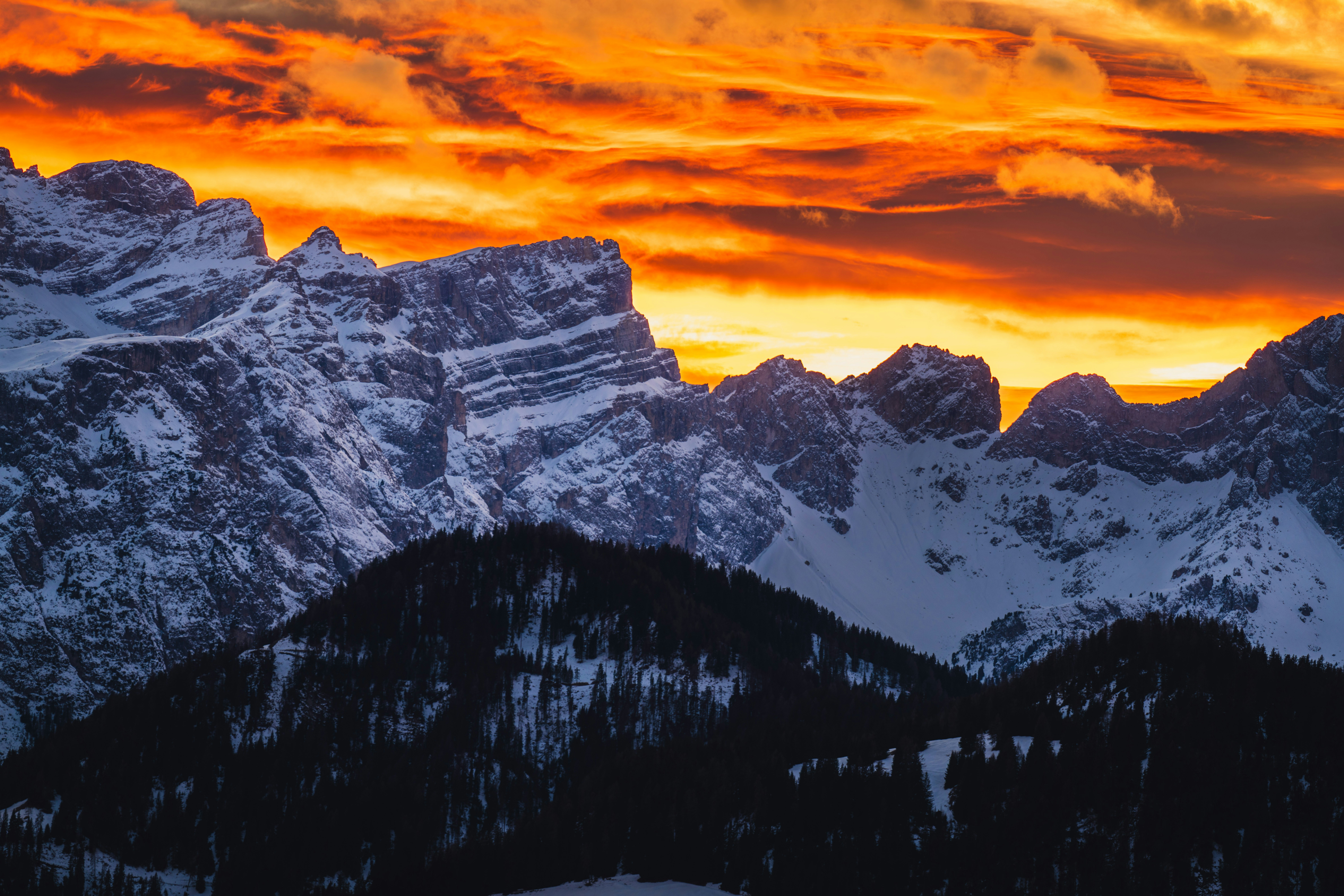 Photo by dmaxsilencer