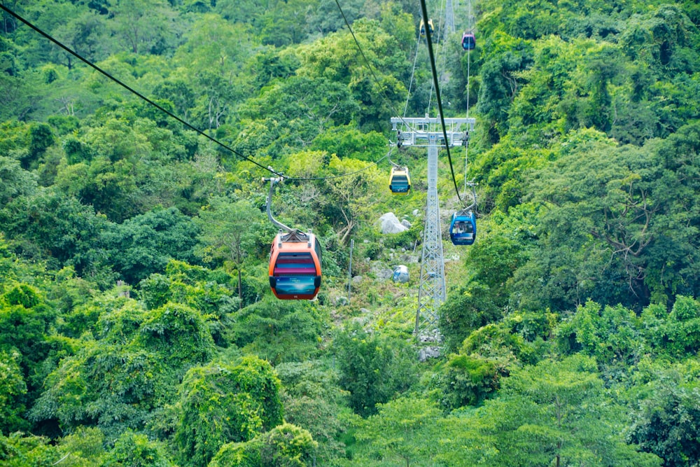 a group of people riding a cable car in the middle of a forest