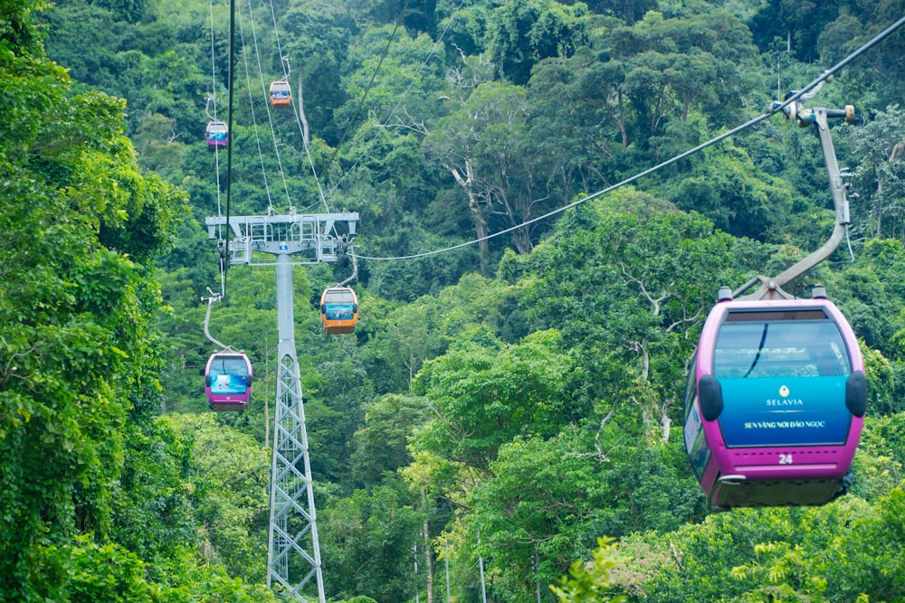 a colorful cable car going through the jungle