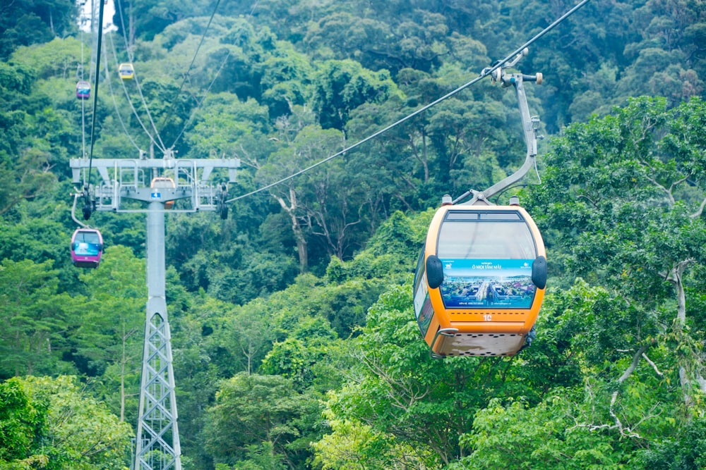 a yellow and blue train traveling through a lush green forest