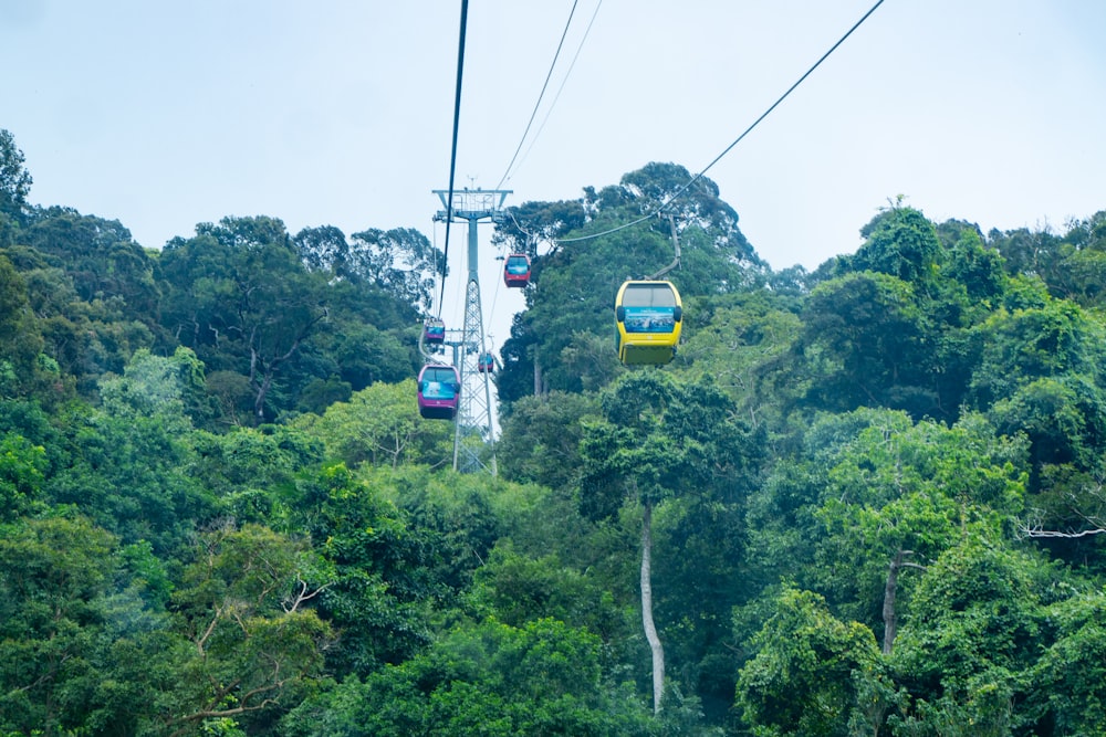 a group of people riding a cable car over a lush green forest