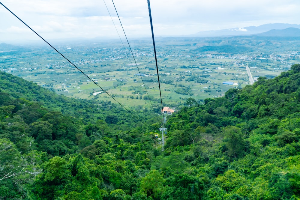 a scenic view of a lush green valley