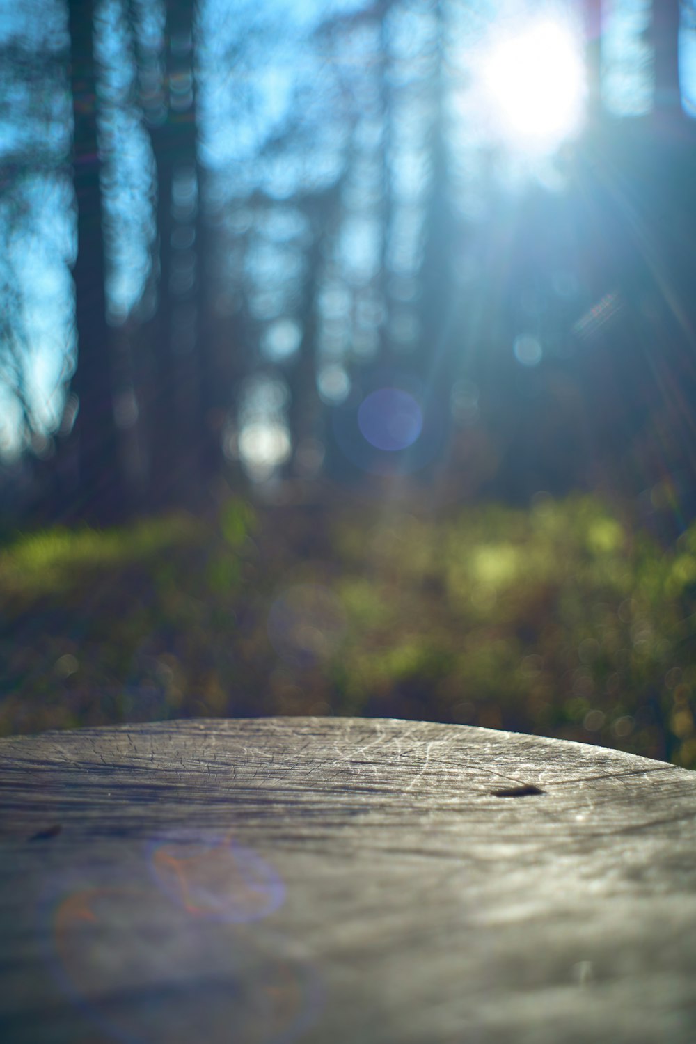 a close up of a wooden surface with trees in the background