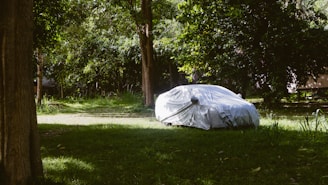 A car covered with a white protective tarp is parked on a grassy area surrounded by dense, green trees and vegetation. The scene is partially shaded by the foliage, creating a peaceful and secluded atmosphere.