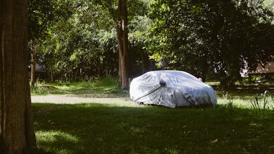 A car covered with a white protective tarp is parked on a grassy area surrounded by dense, green trees and vegetation. The scene is partially shaded by the foliage, creating a peaceful and secluded atmosphere.