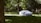 A car covered with a white protective tarp is parked on a grassy area surrounded by dense, green trees and vegetation. The scene is partially shaded by the foliage, creating a peaceful and secluded atmosphere.