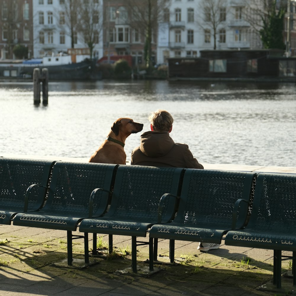 a man and a dog are sitting on a bench