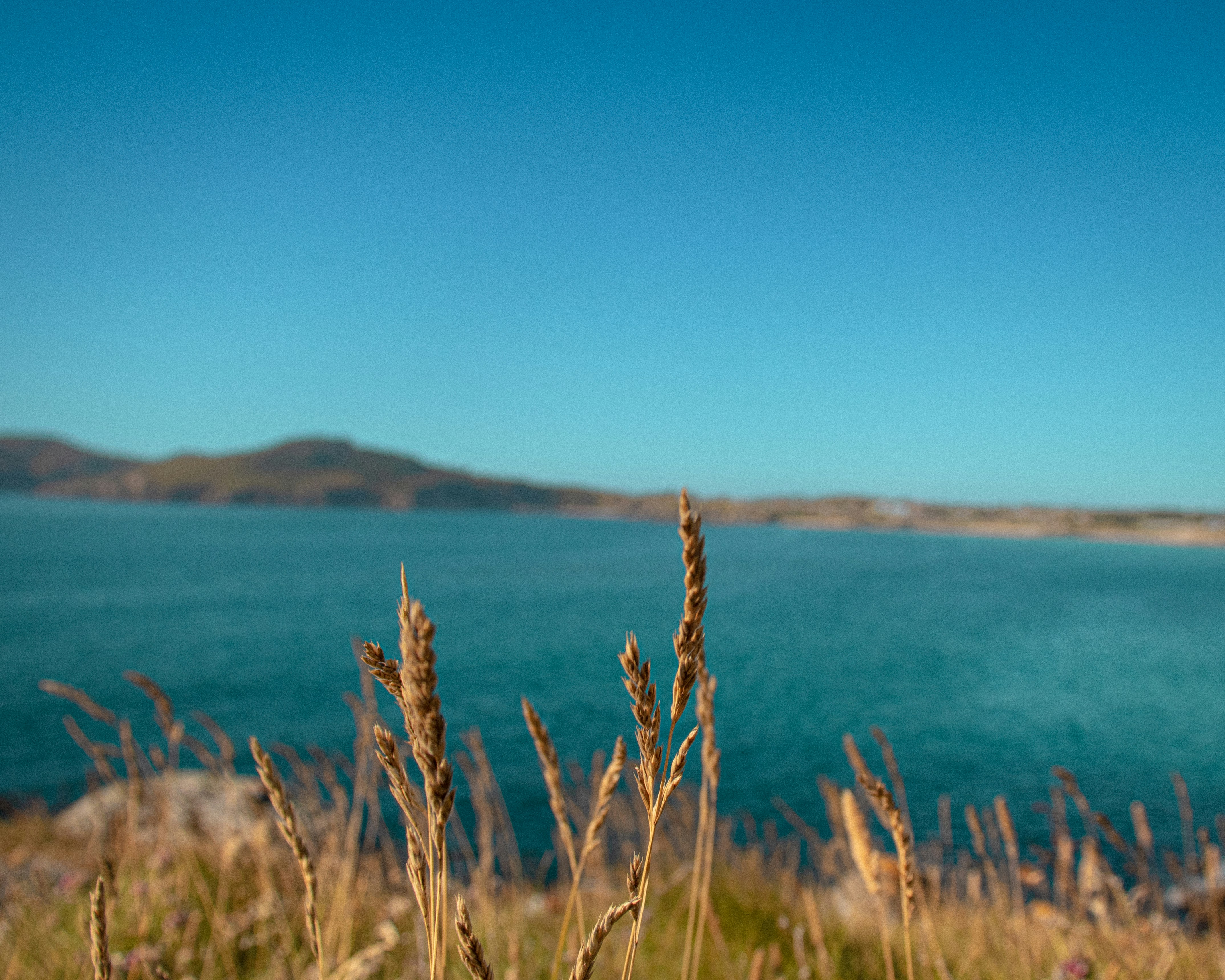 Photo by irvingmarca