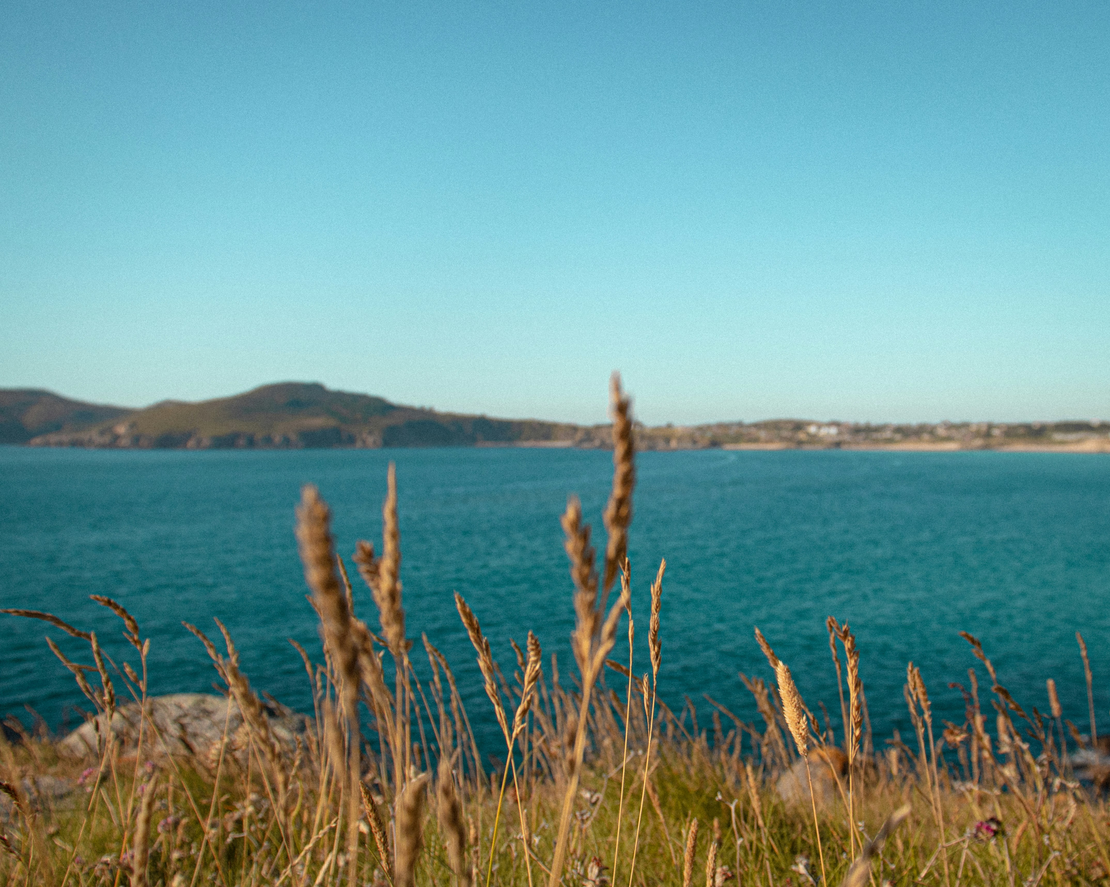 Photo by irvingmarca