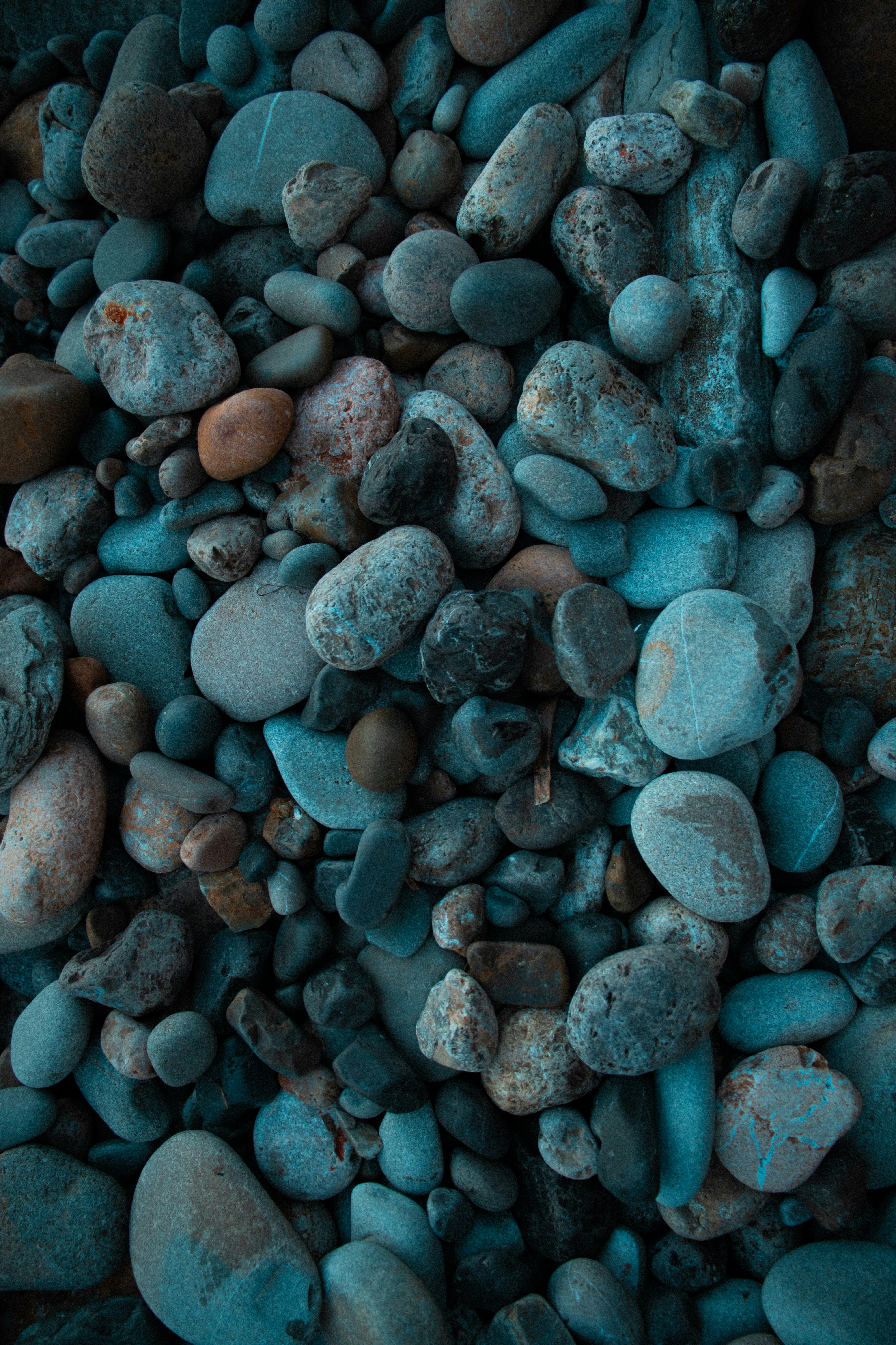 Photo by irvingmarca