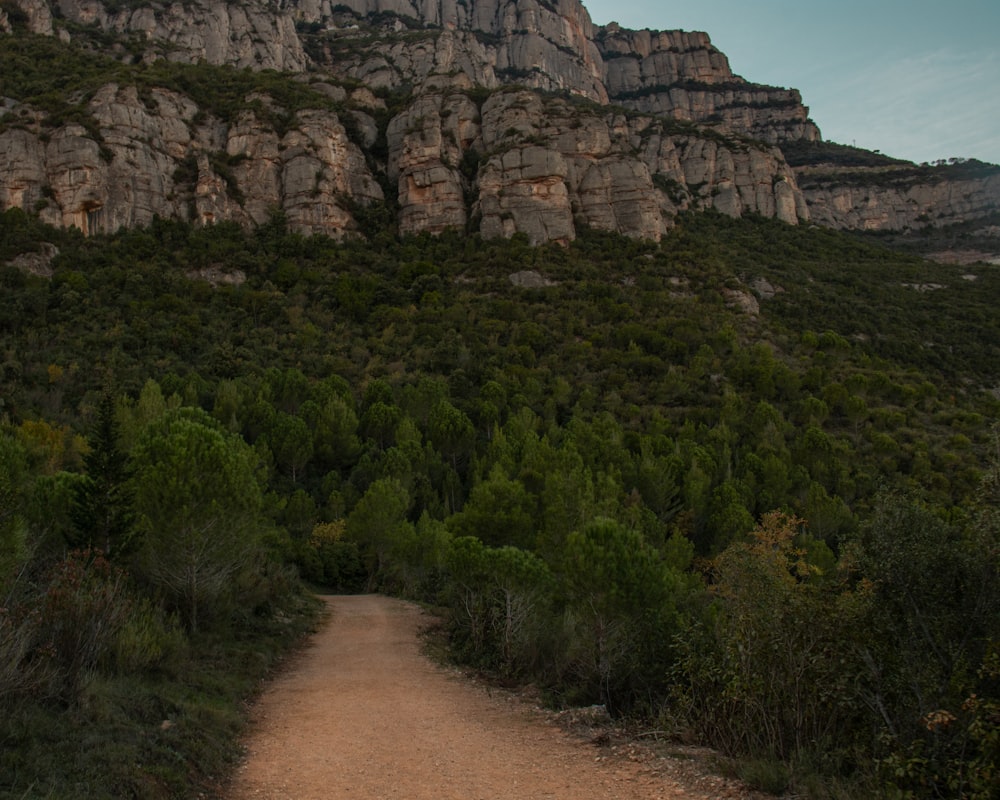 a dirt road with a mountain in the background