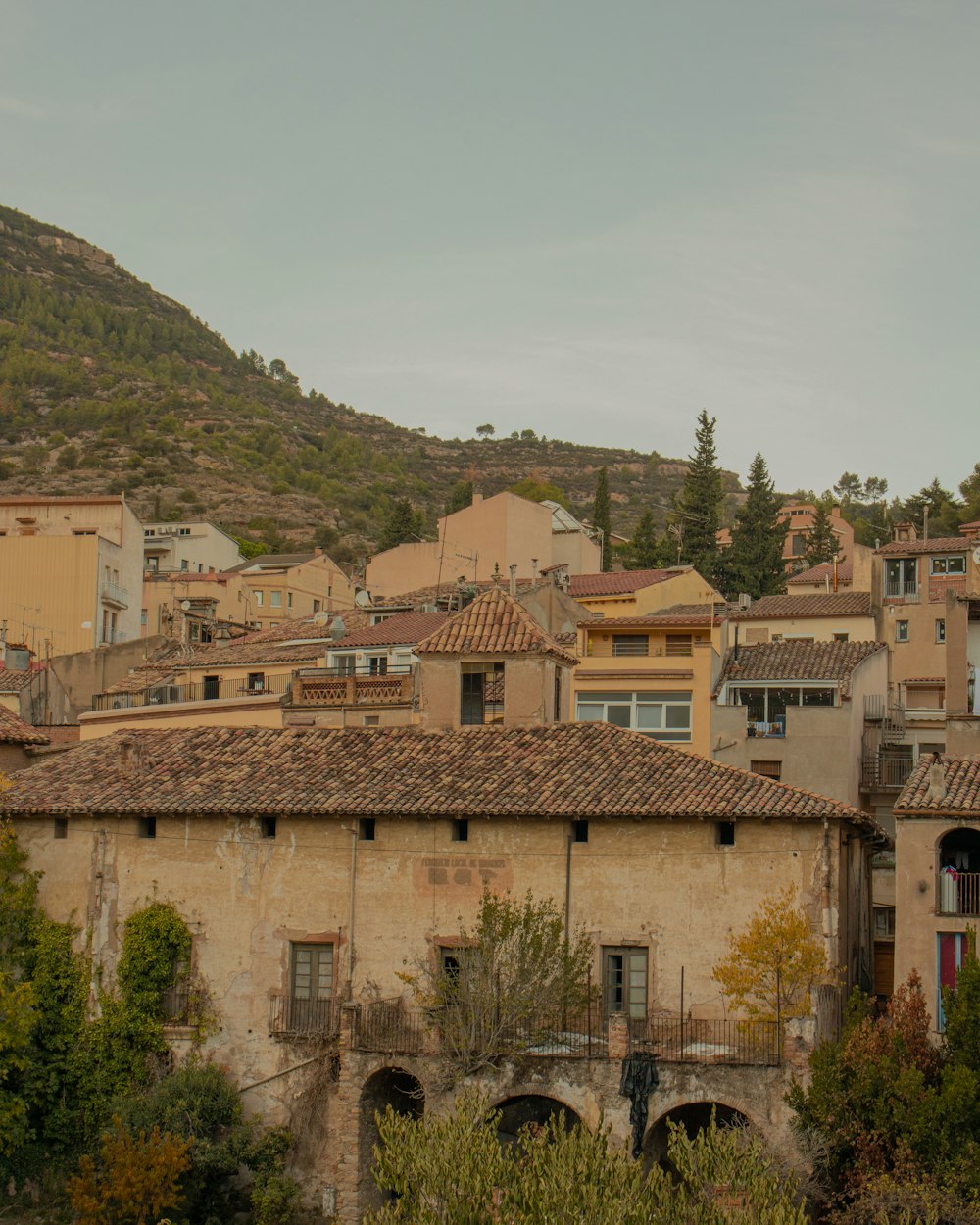 a view of a city with a mountain in the background