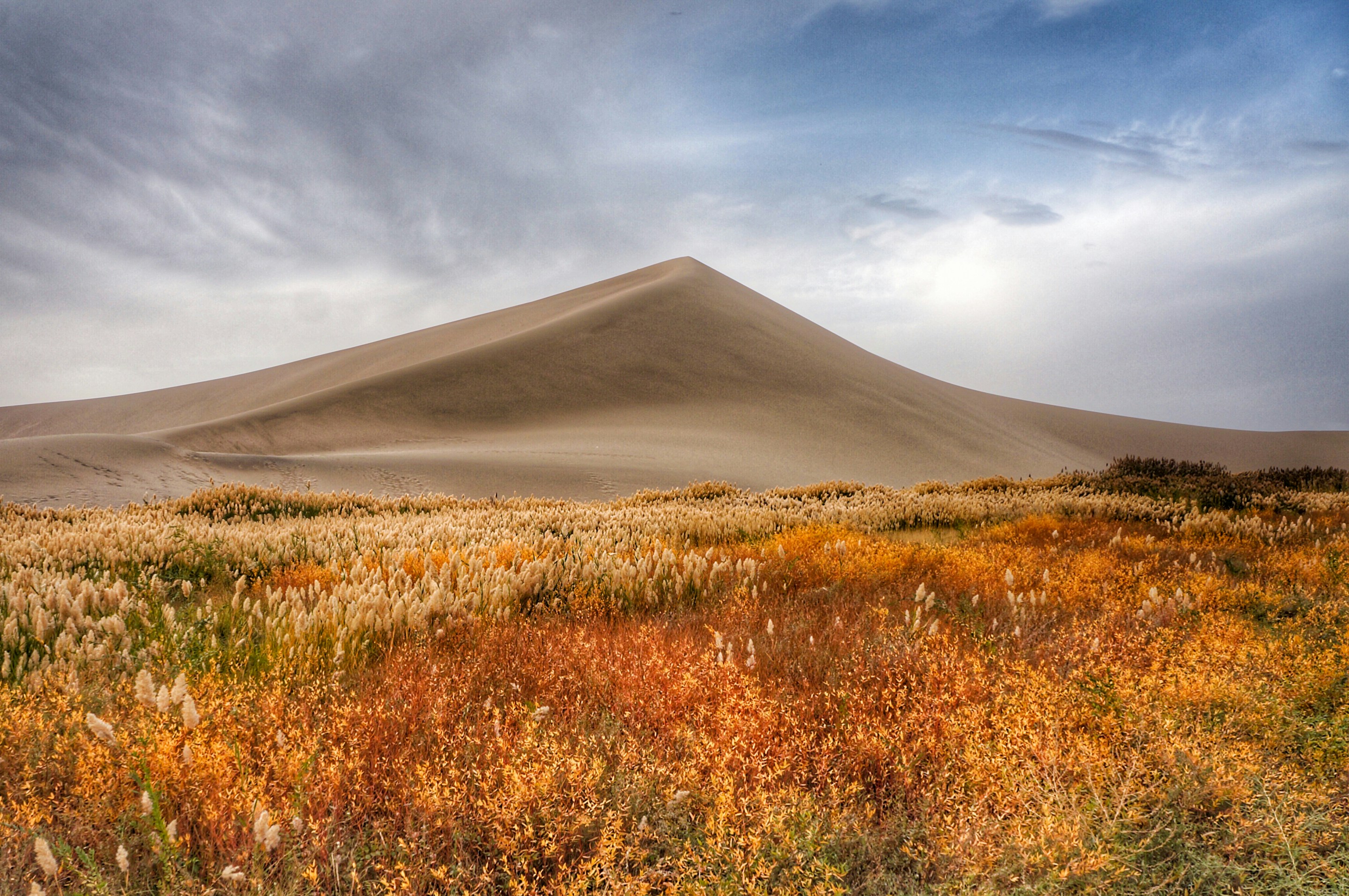 Photo by crunchyplanet