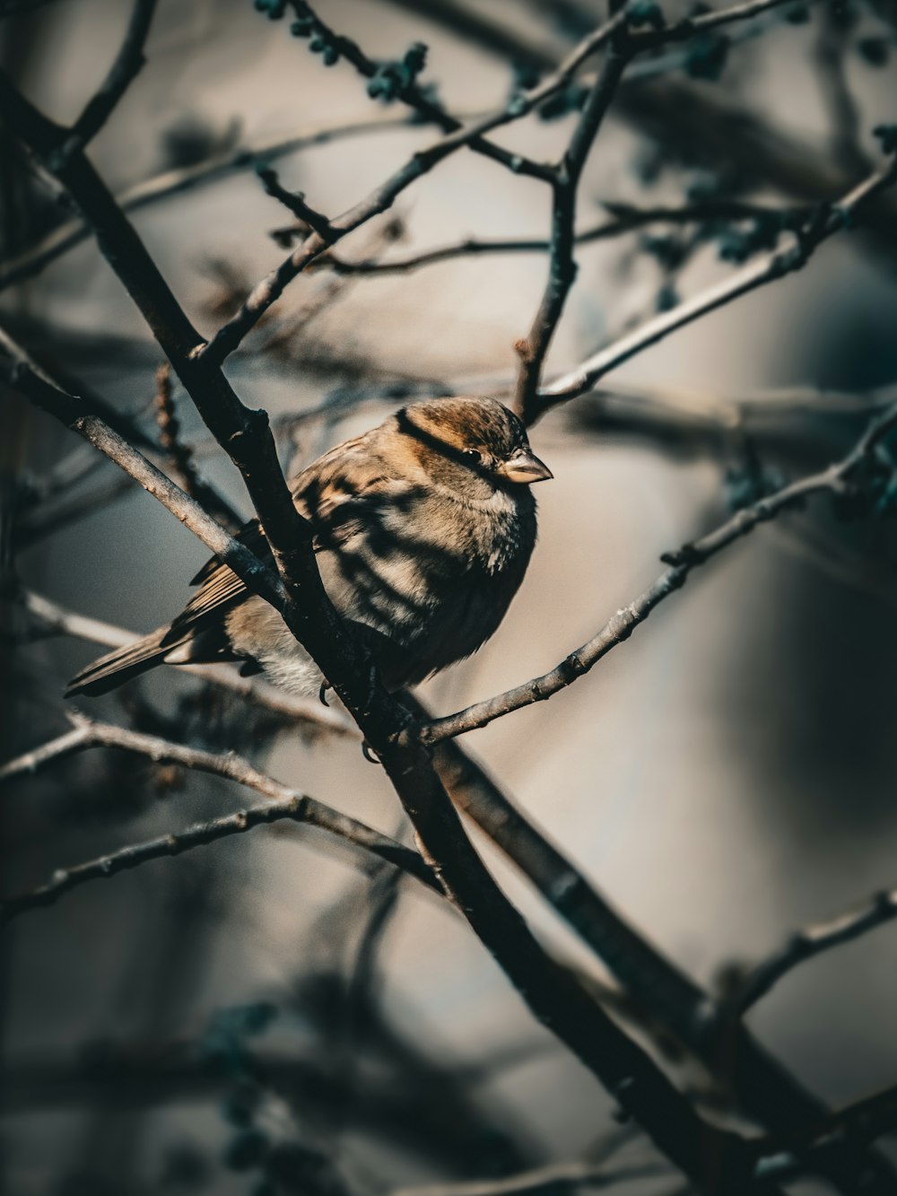 a small bird sitting on top of a tree branch